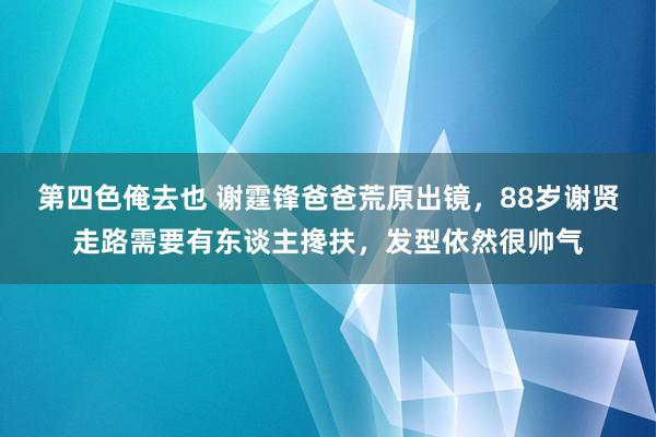 第四色俺去也 谢霆锋爸爸荒原出镜，88岁谢贤走路需要有东谈主搀扶，发型依然很帅气