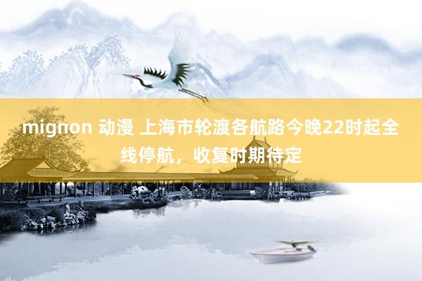 mignon 动漫 上海市轮渡各航路今晚22时起全线停航，收复时期待定