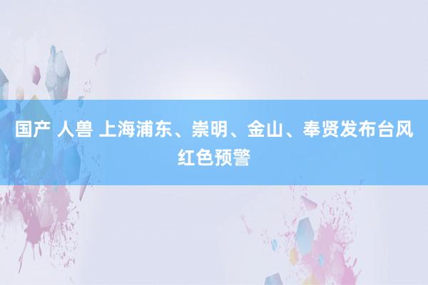 国产 人兽 上海浦东、崇明、金山、奉贤发布台风红色预警