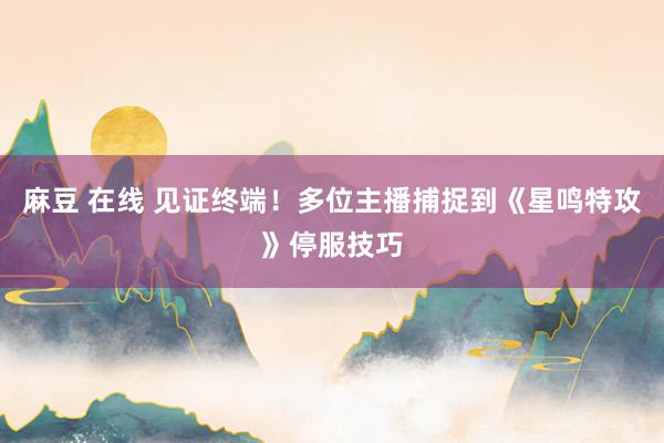 麻豆 在线 见证终端！多位主播捕捉到《星鸣特攻》停服技巧