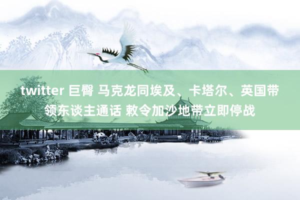 twitter 巨臀 马克龙同埃及、卡塔尔、英国带领东谈主通话 敕令加沙地带立即停战