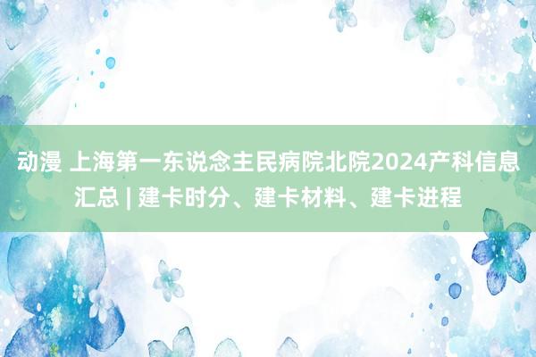 动漫 上海第一东说念主民病院北院2024产科信息汇总 | 建卡时分、建卡材料、建卡进程