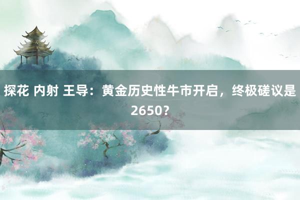 探花 内射 王导：黄金历史性牛市开启，终极磋议是2650？