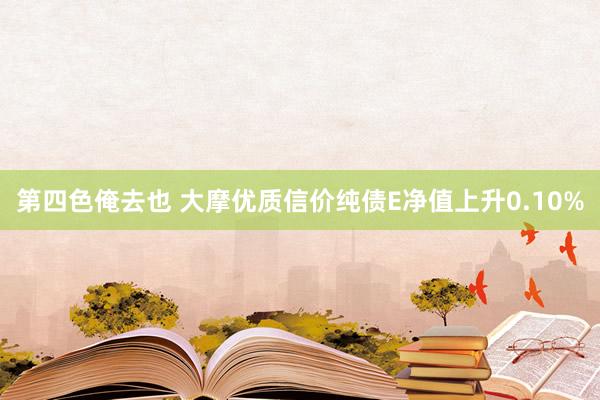 第四色俺去也 大摩优质信价纯债E净值上升0.10%