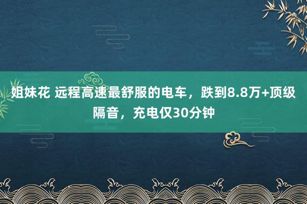 姐妹花 远程高速最舒服的电车，跌到8.8万+顶级隔音，充电仅30分钟