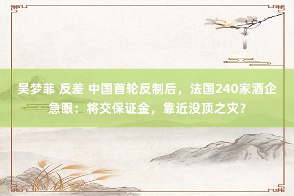 吴梦菲 反差 中国首轮反制后，法国240家酒企急眼：将交保证金，靠近没顶之灾？