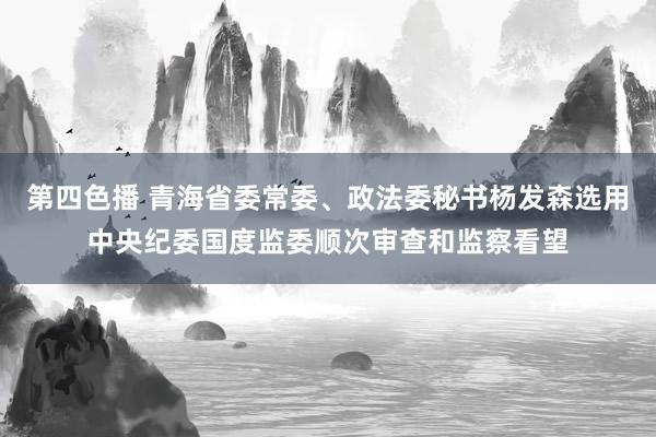 第四色播 青海省委常委、政法委秘书杨发森选用中央纪委国度监委顺次审查和监察看望