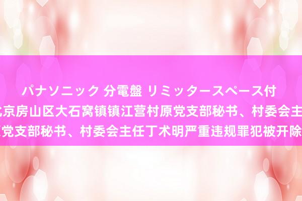 パナソニック 分電盤 リミッタースペース付 露出・半埋込両用形 北京房山区大石窝镇镇江营村原党支部秘书、村委会主任丁术明严重违规罪犯被开除党籍