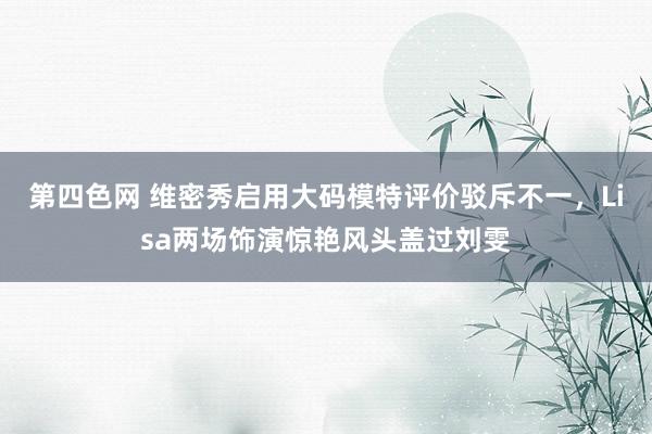 第四色网 维密秀启用大码模特评价驳斥不一，Lisa两场饰演惊艳风头盖过刘雯