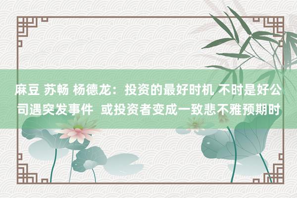 麻豆 苏畅 杨德龙：投资的最好时机 不时是好公司遇突发事件  或投资者变成一致悲不雅预期时