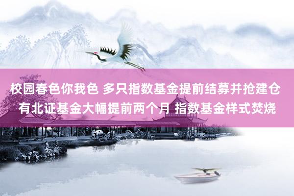 校园春色你我色 多只指数基金提前结募并抢建仓 有北证基金大幅提前两个月 指数基金样式焚烧