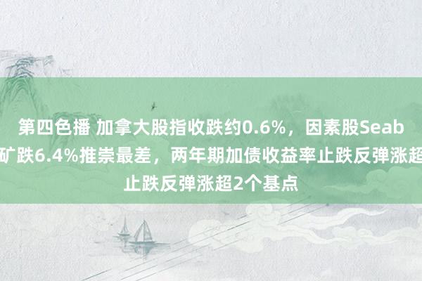 第四色播 加拿大股指收跌约0.6%，因素股Seabridge金矿跌6.4%推崇最差，两年期加债收益率止跌反弹涨超2个基点