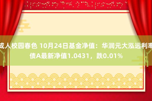 成人校园春色 10月24日基金净值：华润元大泓远利率债A最新净值1.0431，跌0.01%