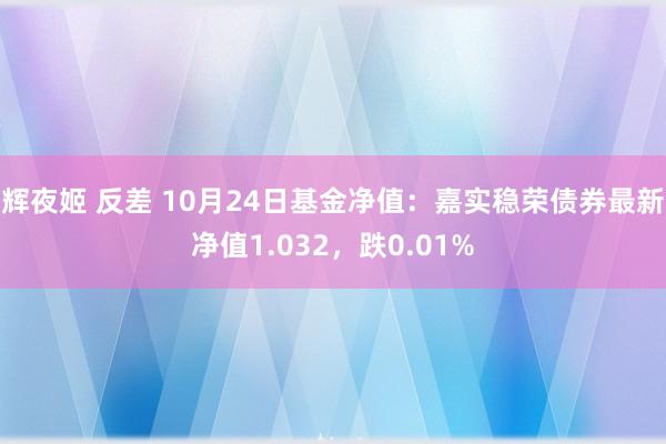 辉夜姬 反差 10月24日基金净值：嘉实稳荣债券最新净值1.032，跌0.01%