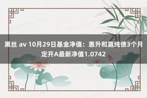 黑丝 av 10月29日基金净值：惠升和赢纯债3个月定开A最新净值1.0742