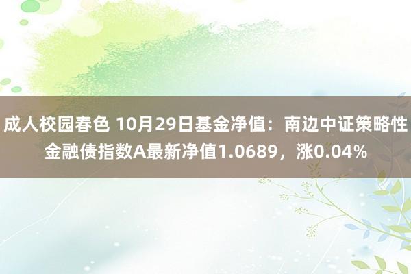 成人校园春色 10月29日基金净值：南边中证策略性金融债指数A最新净值1.0689，涨0.04%