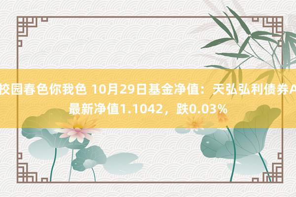 校园春色你我色 10月29日基金净值：天弘弘利债券A最新净值1.1042，跌0.03%