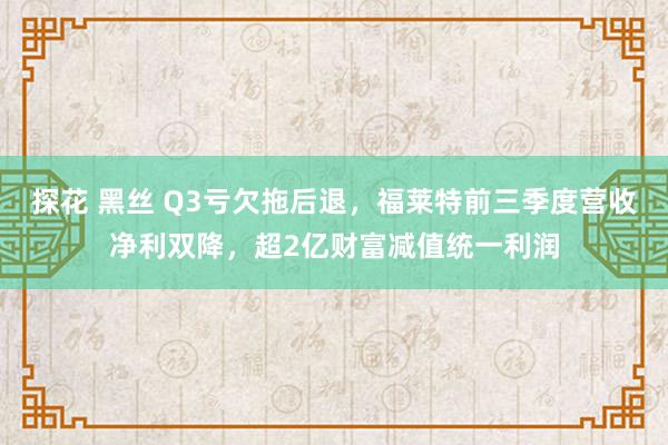 探花 黑丝 Q3亏欠拖后退，福莱特前三季度营收净利双降，超2亿财富减值统一利润