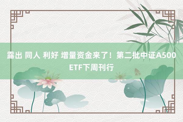 露出 同人 利好 增量资金来了！第二批中证A500ETF下周刊行