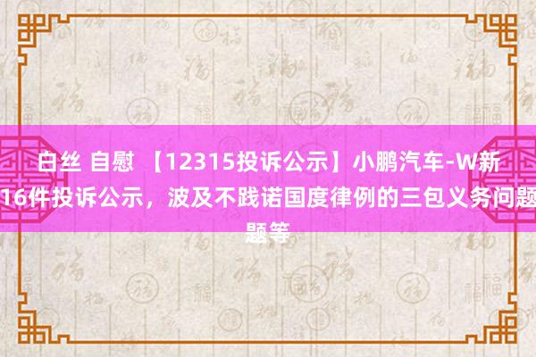 白丝 自慰 【12315投诉公示】小鹏汽车-W新增16件投诉公示，波及不践诺国度律例的三包义务问题等