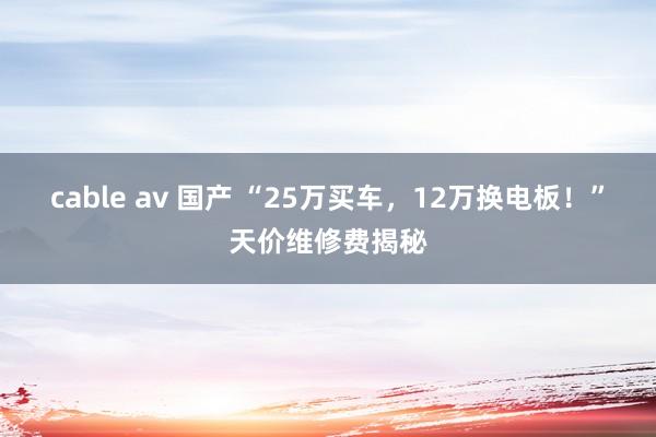 cable av 国产 “25万买车，12万换电板！”天价维修费揭秘