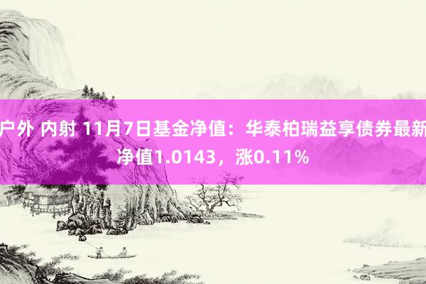 户外 内射 11月7日基金净值：华泰柏瑞益享债券最新净值1.0143，涨0.11%