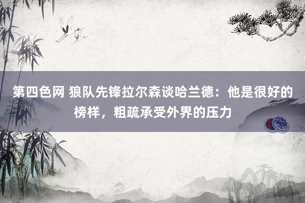 第四色网 狼队先锋拉尔森谈哈兰德：他是很好的榜样，粗疏承受外界的压力