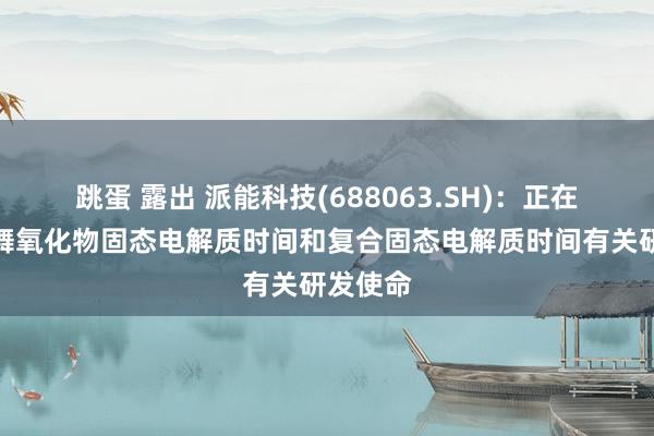 跳蛋 露出 派能科技(688063.SH)：正在积极鼓舞氧化物固态电解质时间和复合固态电解质时间有关研发使命