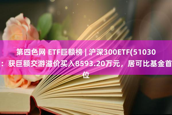 第四色网 ETF巨额榜 | 沪深300ETF(510300)：获巨额交游溢价买入8593.20万元，居可比基金首位