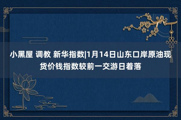 小黑屋 调教 新华指数|1月14日山东口岸原油现货价钱指数较前一交游日着落